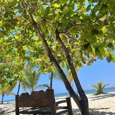 Waves And Wanderlust-Diani Beach Ngoại thất bức ảnh